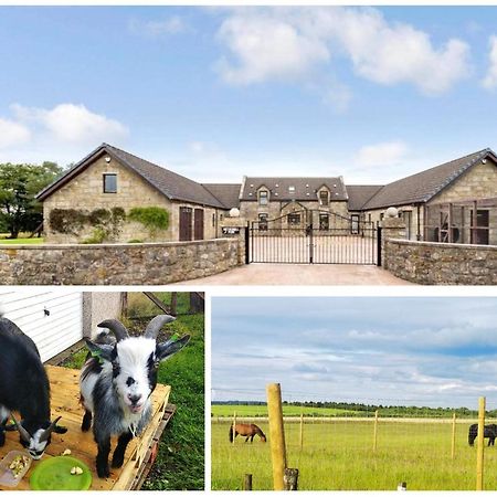 Cottage With Panoramic Views Kirk of Shotts 外观 照片